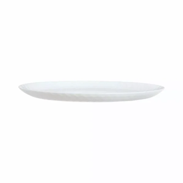 dinner plate opalina