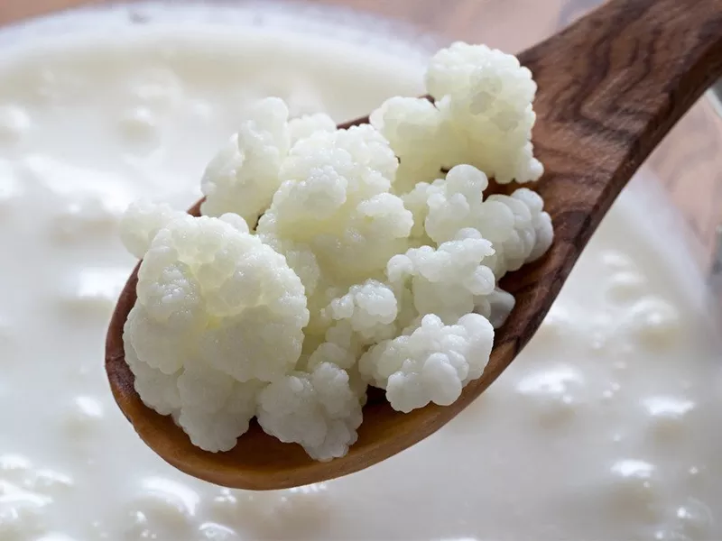 spitiko-kefir